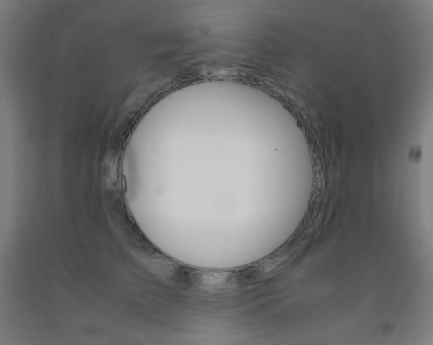 X0000093120709200709261014