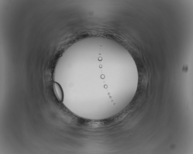 X0000093120711200709261014