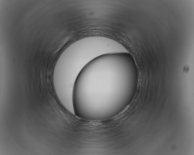X0000093120712200709261014