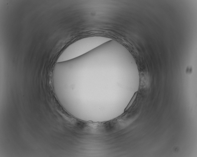X0000093120713200709261014