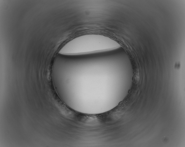 X0000093120715200709261014