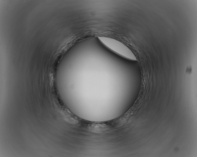 X0000093120716200709261014