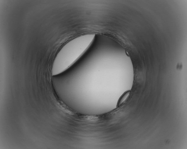 X0000093120719200709261014