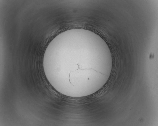 X0000093120720200709261014