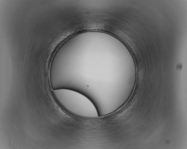 X0000093120721200709261013