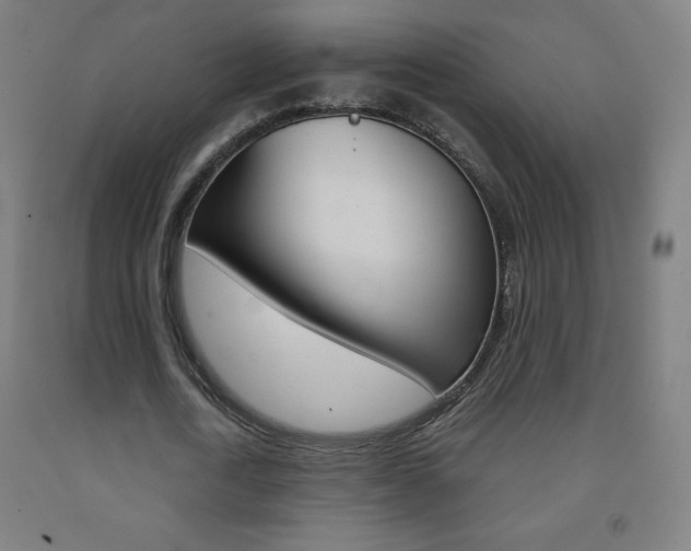X0000093120722200709261013