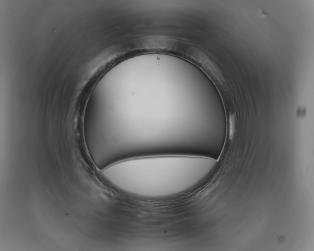 X0000093120723200709261013