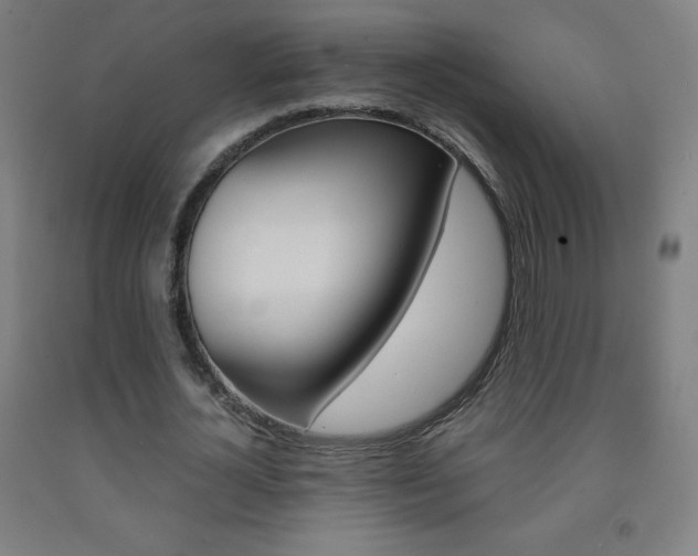 X0000093120724200709261013
