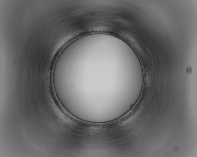 X0000093120725200709261013