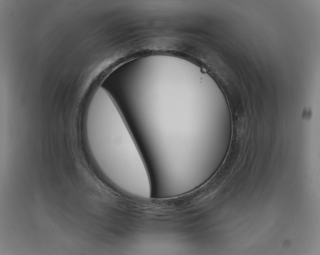 X0000093120727200709261013