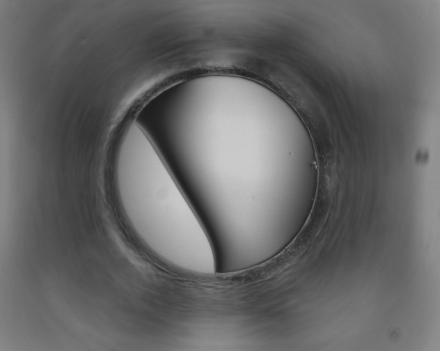 X0000093120728200709261013