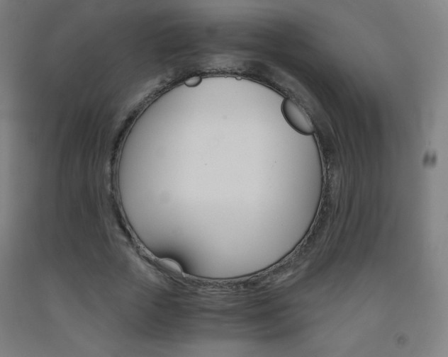 X0000093120729200709261013