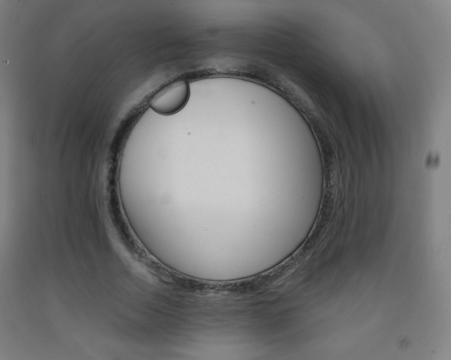 X0000093120730200709261013