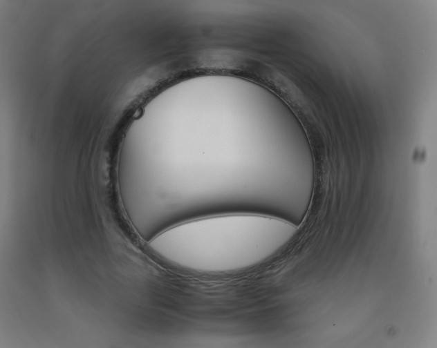 X0000093120731200709261013