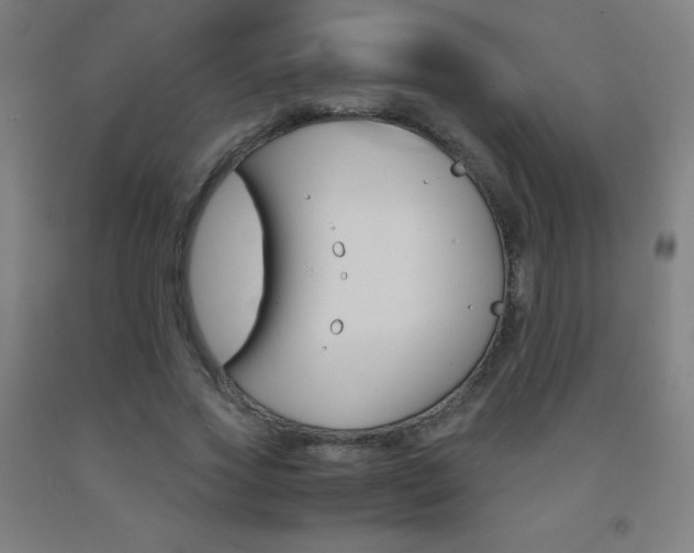 X0000093120733200709261013