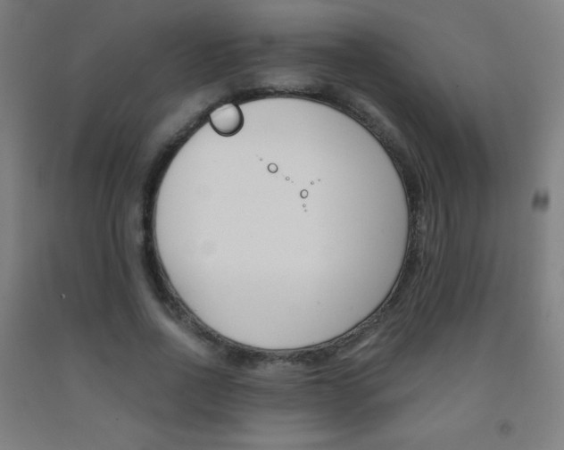X0000093120734200709261013