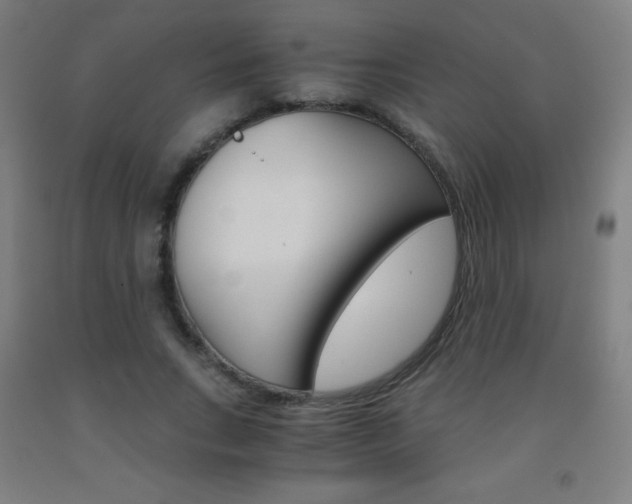 X0000093120735200709261013
