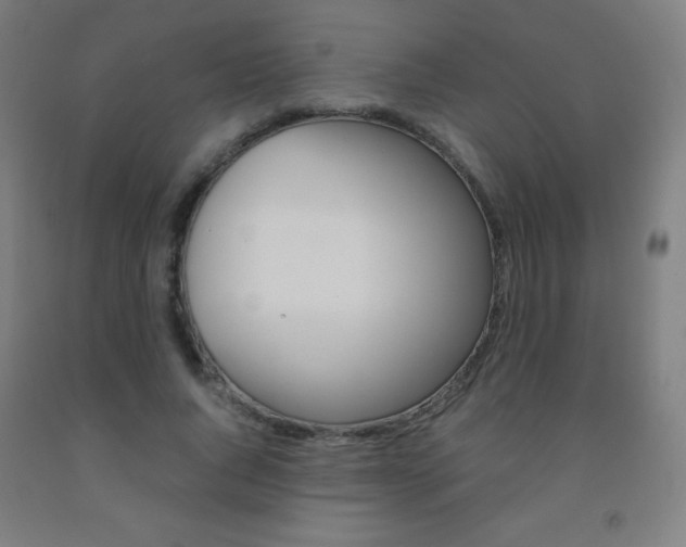 X0000093120736200709261013