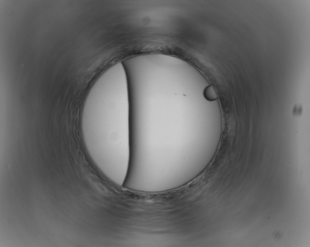 X0000093120737200709261013