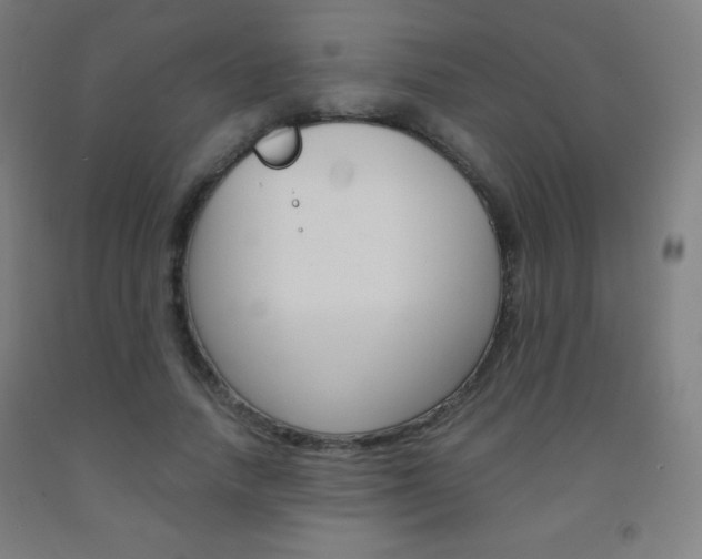 X0000093120738200709261013