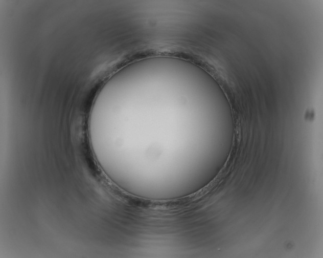 X0000093120740200709261013