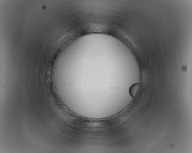 X0000093120741200709261014
