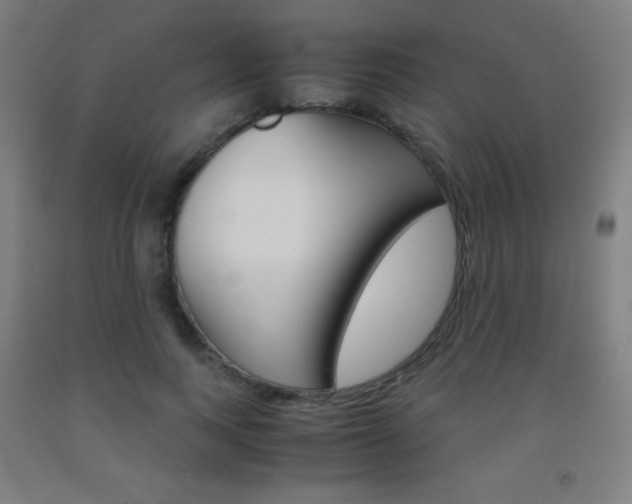 X0000093120743200709261014