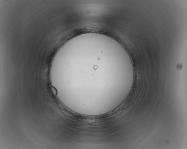 X0000093120745200709261014
