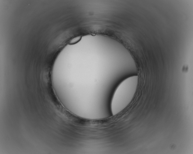 X0000093120746200709261014