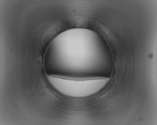 X0000093120748200709261014