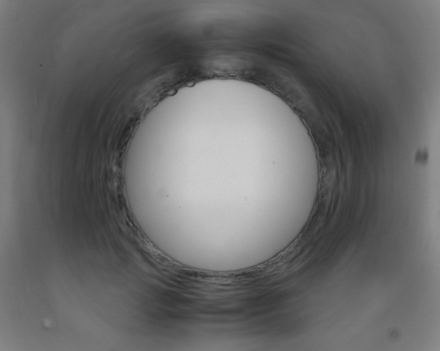 X0000093120749200709261014