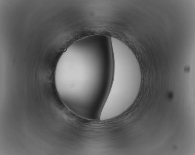 X0000093120750200709261014