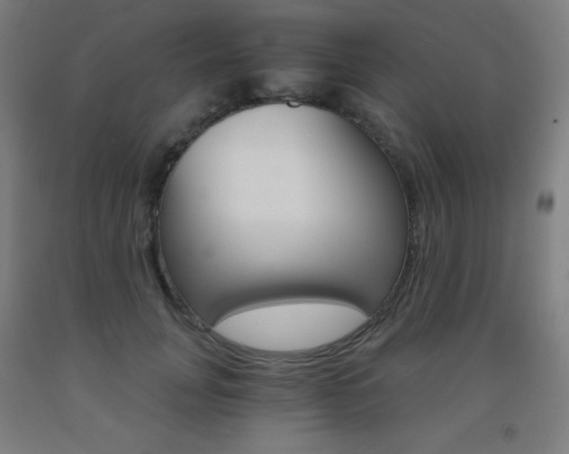X0000093120751200709261014