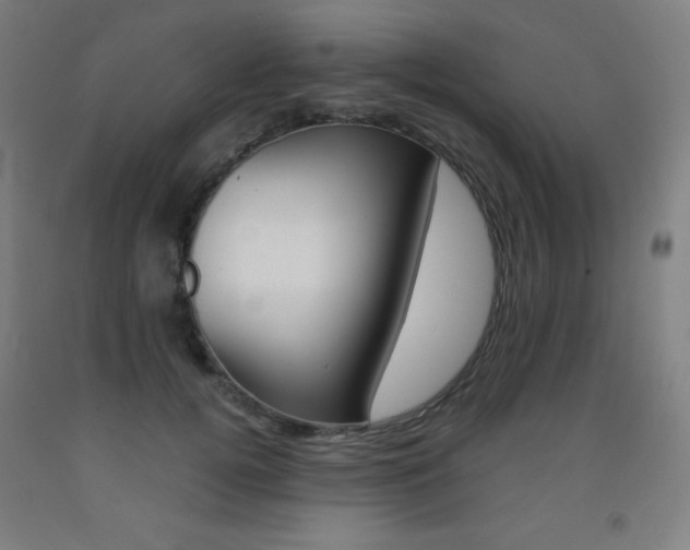 X0000093120752200709261014