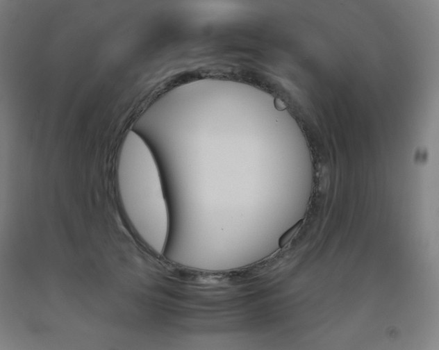 X0000093120753200709261014