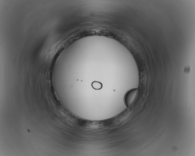 X0000093120754200709261014