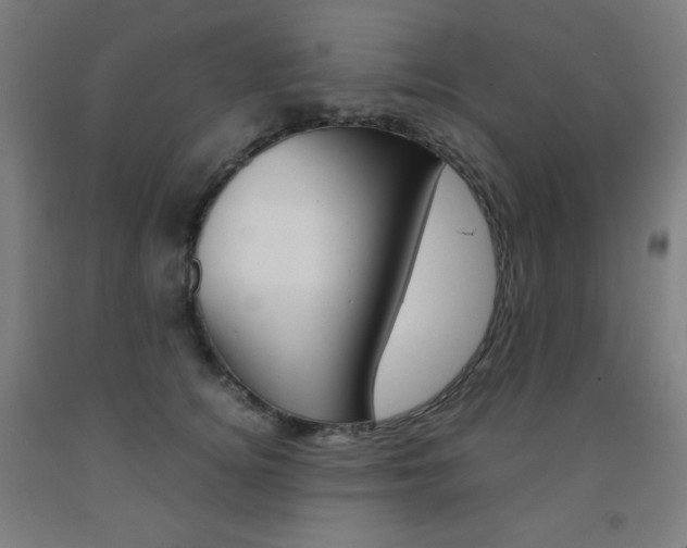 X0000093120756200709261014