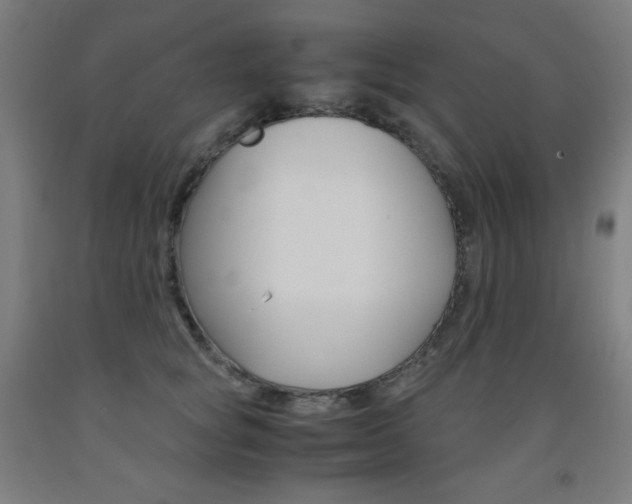 X0000093120757200709261014