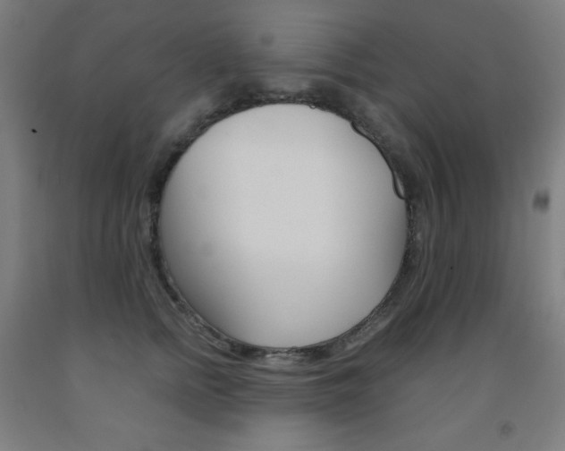 X0000093120758200709261014