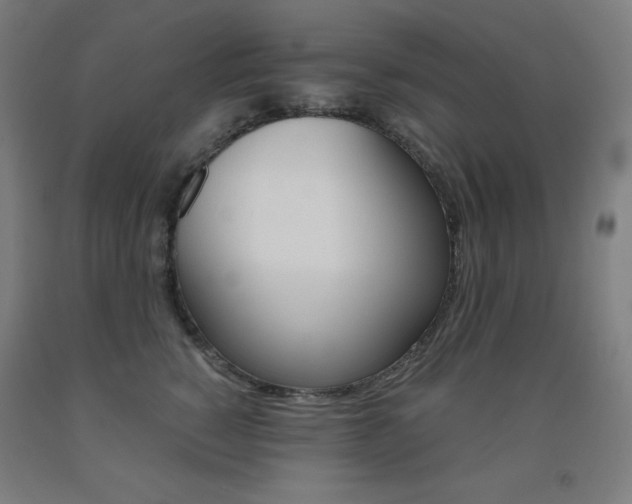 X0000093120760200709261014