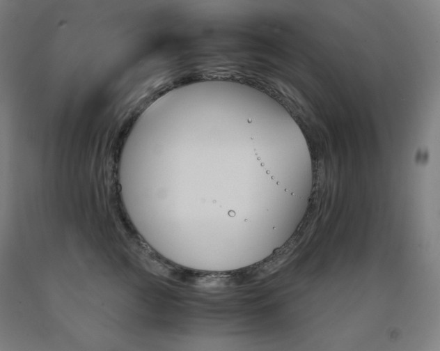 X0000093120761200709261014