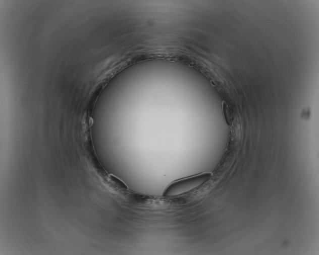 X0000093120764200709261014