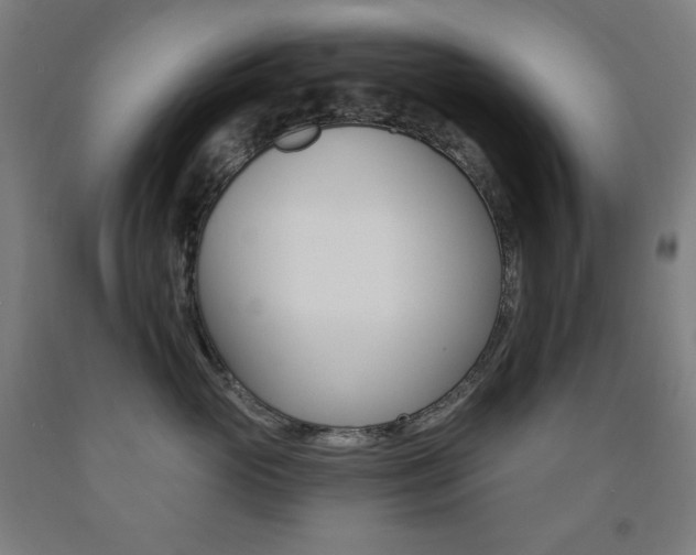 X0000093120765200709261014