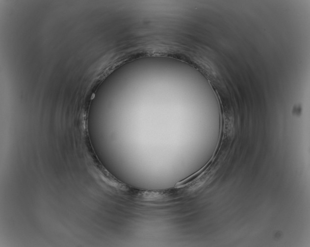 X0000093120766200709261014