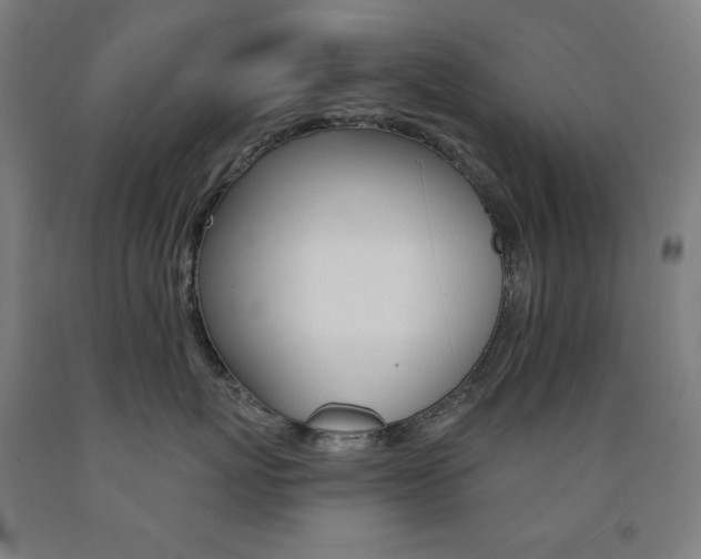 X0000093120767200709261014