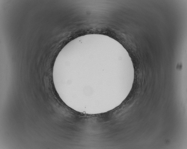 X0000093120769200709261013