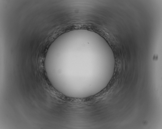 X0000093120770200709261013