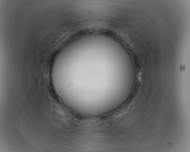 X0000093120771200709261013