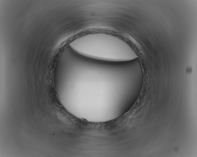 X0000093120775200709261013