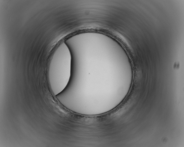 X0000093120778200709261013